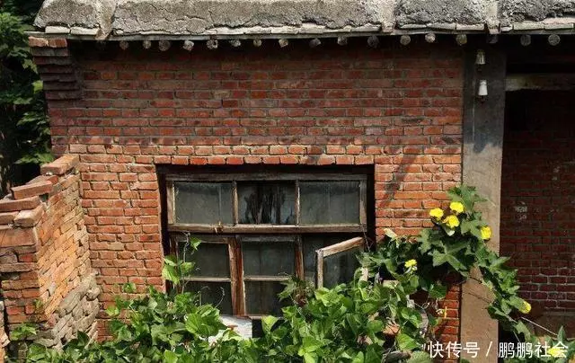 養母把我養大,上門找我借10萬,得知背後原因,我一分沒給