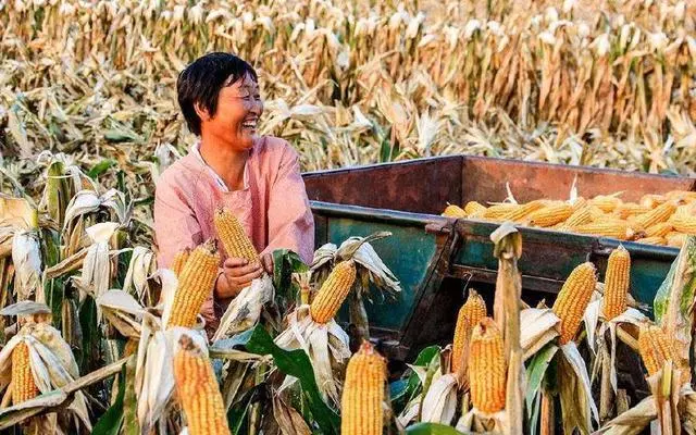母親賣豆腐養我10年,我回家探望,聽到院內笑聲氣得牙痒痒