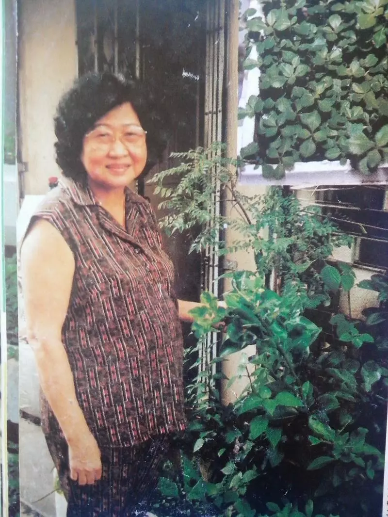 它是糖尿病爛腿者的救星,並曾救回一對糖尿病患母子的爛腿