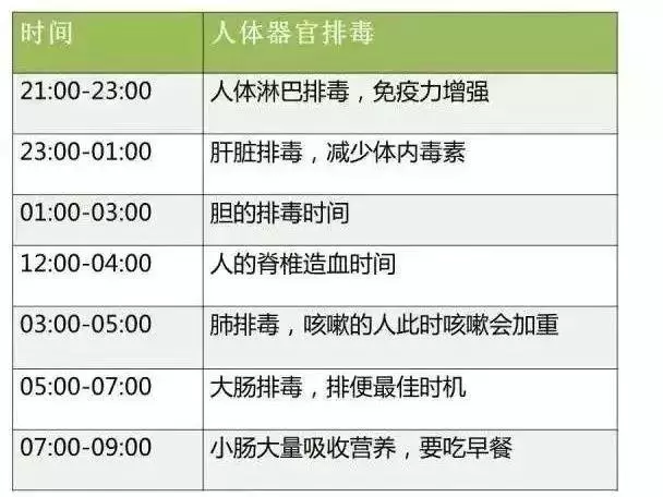 被「人體排毒時間表」騙了這麼多年!真相扎心……(圖)