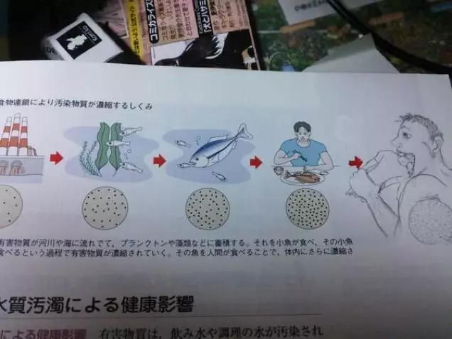 30張證明「日本人腦洞是從小培養」的超狂課本塗鴉...根本專家等級!