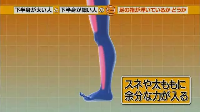 腿粗和腿細的人「關鍵就在腳趾站姿」很少人發現 「一條繃帶」馬上讓象腿瘦下來!