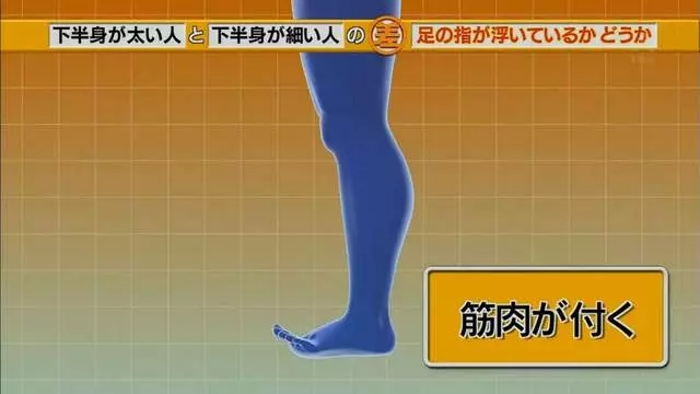 腿粗和腿細的人「關鍵就在腳趾站姿」很少人發現 「一條繃帶」馬上讓象腿瘦下來!