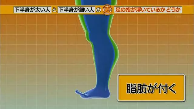腿粗和腿細的人「關鍵就在腳趾站姿」很少人發現 「一條繃帶」馬上讓象腿瘦下來!