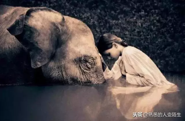 一輩子不容易,請務必善待自己
