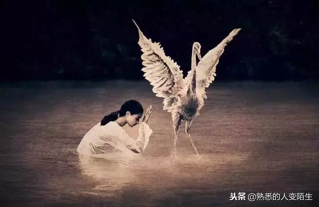 一輩子不容易,請務必善待自己
