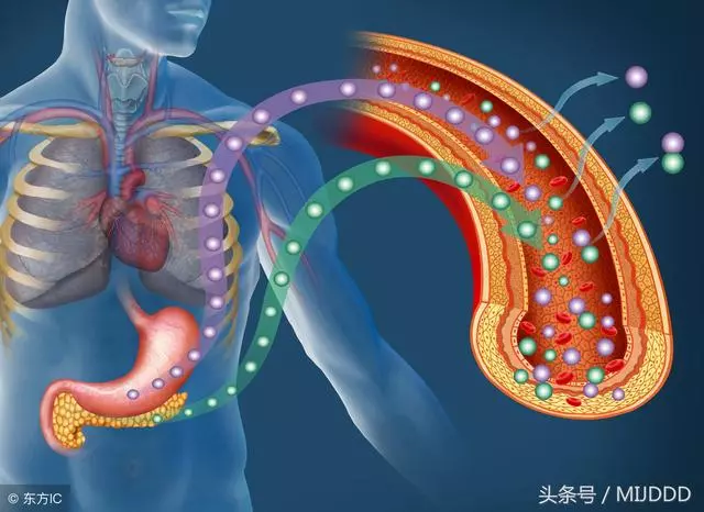 勵志十則:拒絕拖延,拒絕懶惰!想要,就立即行動!