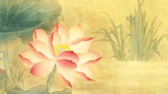 真正的人生贏家,其實,應該是這三種人