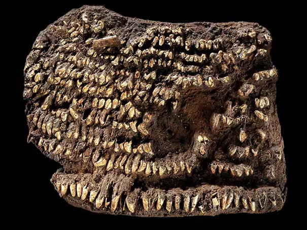 16個見證「人類世界上最古老物品」 800年前太陽眼鏡完全走在時尚尖端!