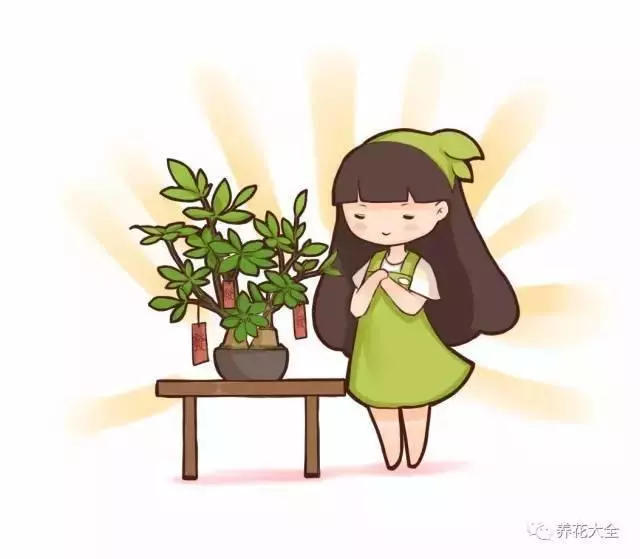 20種花草的風水意義,讓你財源廣進!