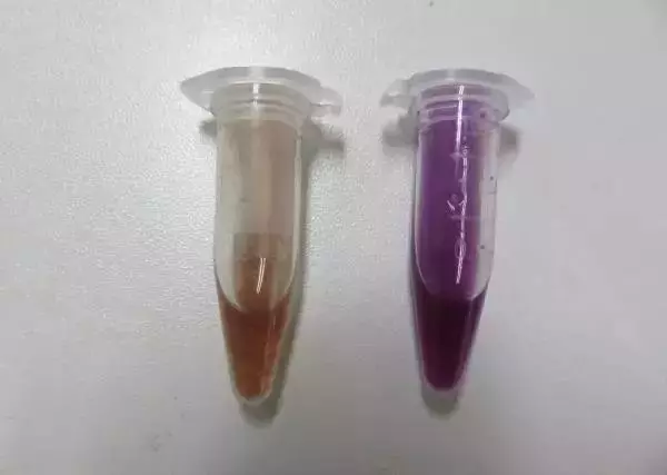 你吃的是枸杞還是毒藥,不妨做個實驗來看看