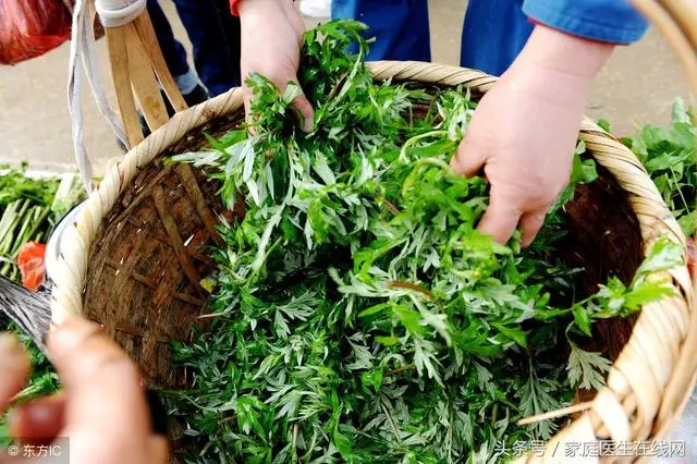 盆栽艾草的種植方法與功效,艾草取葉煮水喝,2大功效享用不盡