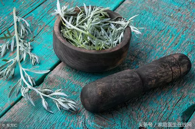 盆栽艾草的種植方法與功效,艾草取葉煮水喝,2大功效享用不盡