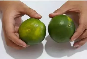 橘子皮加食鹽,喝一次能省下幾百元,解決了男女的大難題