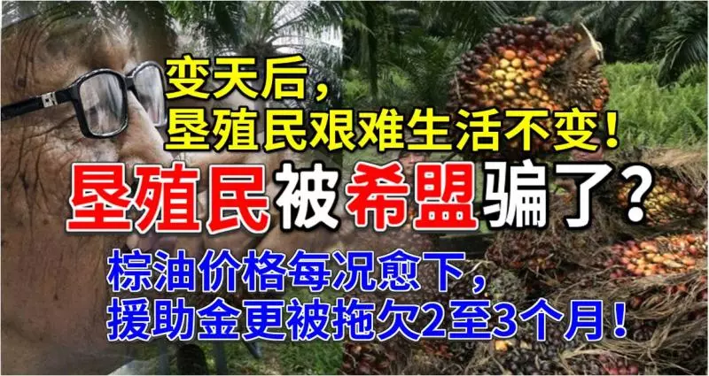 墾殖民被希盟騙了?變天后,墾殖民艱難生活不變!棕油價格每況愈下,援助金更被拖欠2至3個月!