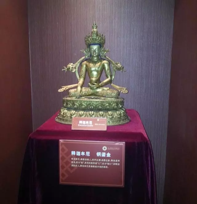 佛學入門,當你念南無阿彌陀佛時,想知道佛法會恩賜你什麼嗎?