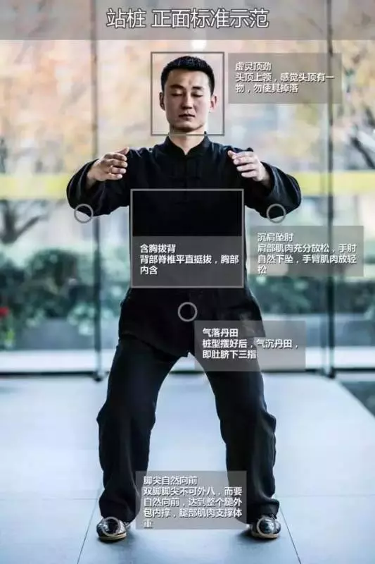 每天站樁5分鐘,腎陽足了,腰腿好了,千金不換好動作