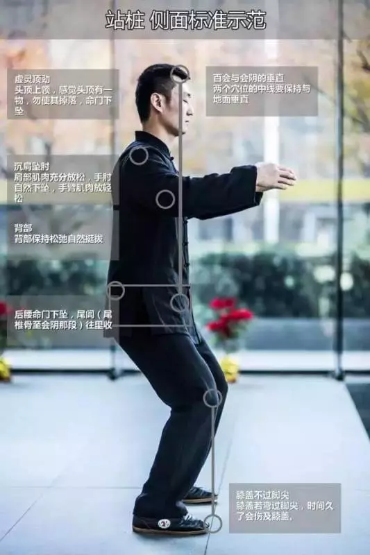 每天站樁5分鐘,腎陽足了,腰腿好了,千金不換好動作