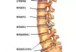 1個動作滾動30次,放鬆全身肌肉,頸椎不酸了,腰椎不疼了
