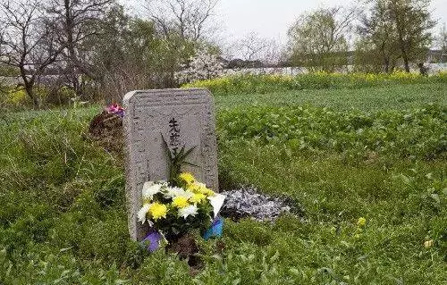 女兒托夢說想吃餃子,母親煮好端到墳前,抬頭瞥見墓碑,撒腿就跑