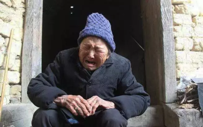 女兒托夢說想吃餃子,母親煮好端到墳前,抬頭瞥見墓碑,撒腿就跑