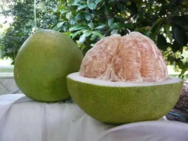 小蘇打做清潔劑已經落伍了,把這2樣東西混一起,比小蘇打強10倍