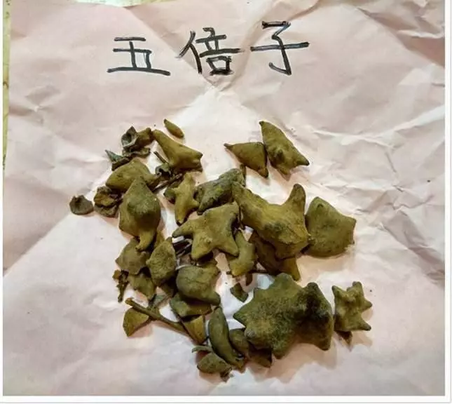難得一見【治皮膚奇癢很有效的土方】一定要收藏