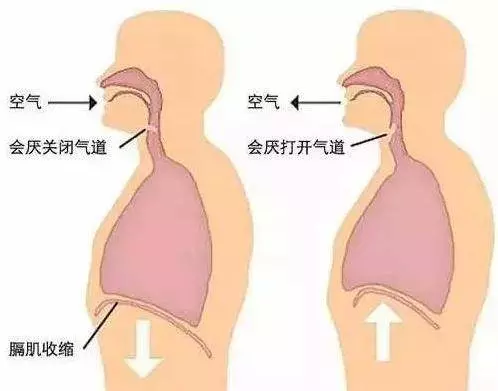 出現這5個症狀立刻去查胃別遲疑,胃癌可能快來了!
