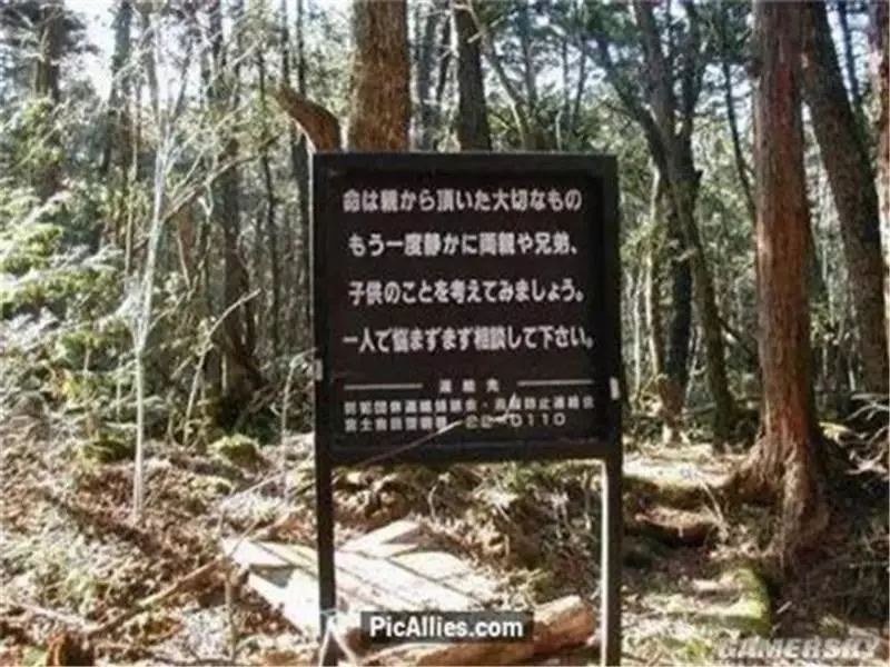 27個驚人細節徹底顛覆你對日本的認知!日本女生穿和服不能穿小褲褲,原來是…XDXD