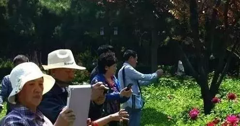 六十歲後,千萬不要做這三件傻事(值得借鑒)