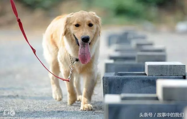 拾荒老人撿到金手鐲,苦等失主兩天,失主一出現,兩人全傻了