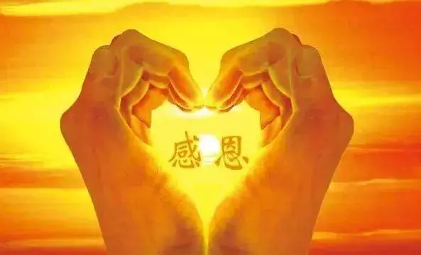 年底了,感恩,這一年所有對我好的人