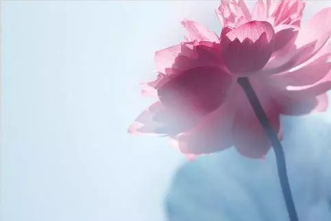 佛說:最損福報的一件事?不要這樣做,切記