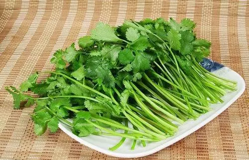醫生忠告:這5種人吃香菜就是在找病,越早知道越好!