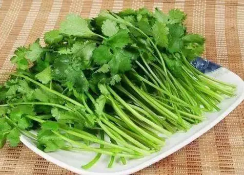醫生忠告:這5種人吃香菜就是在找病,越早知道越好!