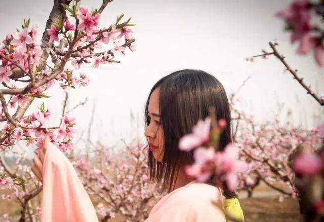 媽媽帶女兒坐火車,女兒用餐巾紙折了一隻鶴,乘務員一瞧,打了110