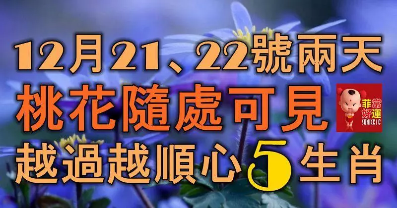 12月21、22號兩天,大運將來,桃花隨處可見,越過越順心的5大生肖!