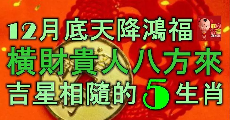 12月底天降鴻福,橫財貴人八方來,吉星相隨財運通的5生肖!