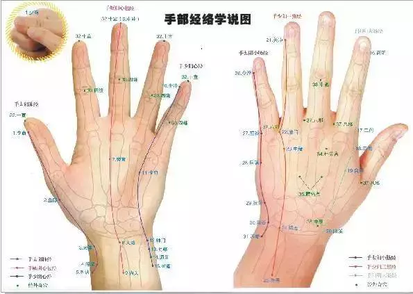 每天刮一刮這裡,疏通全身經絡,腰不痠腿不疼了,頸椎不痛了,偏頭痛也好了!