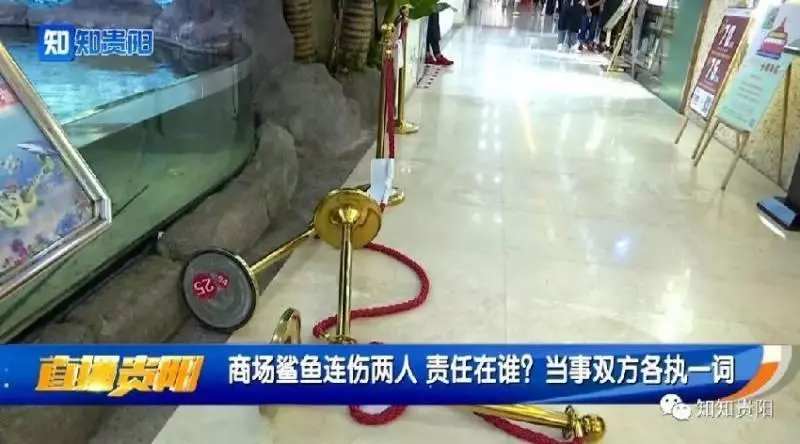 (內有視頻看)水族箱鯊魚跳出來 6歲女童「右手遭咬爛」!!