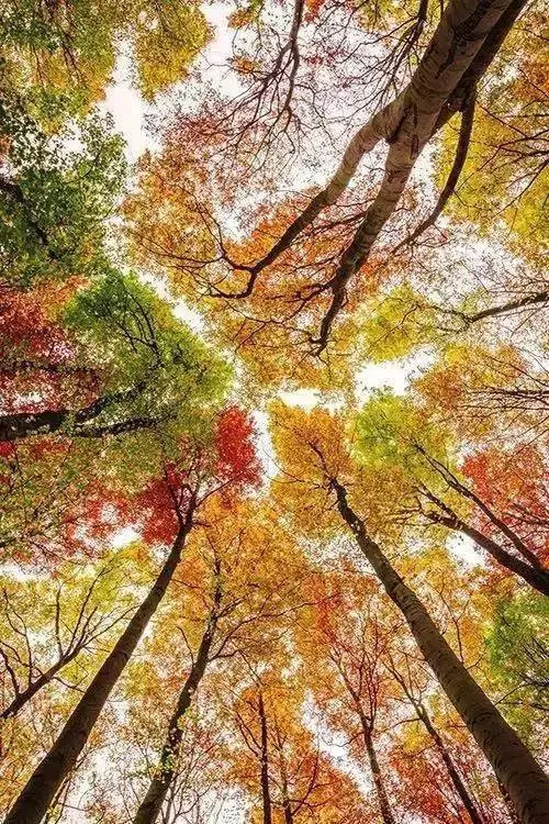 慢慢變老,最深的領悟(想開、看淡、放鬆)