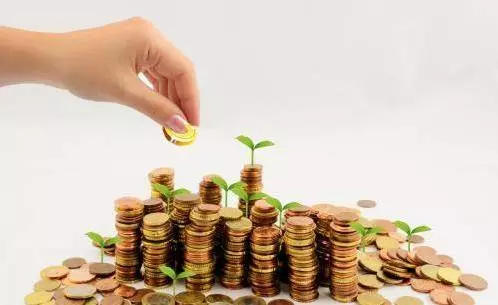 麥玲玲:【兔龍蛇馬】2019年最好運的生肖,你家有嗎?