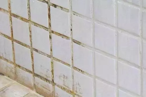 清洗瓷磚不用洗衣粉,白醋和它兌在一起,大量汙垢一擦就乾淨,而且非常耐髒!