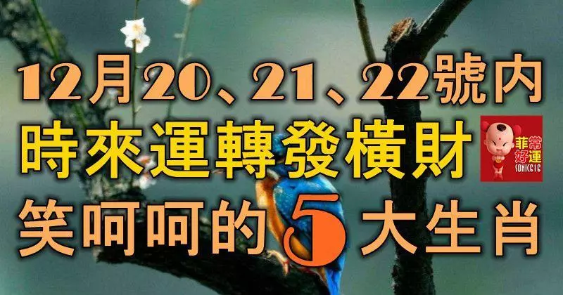 12月20、21、22號三天裡,時來運轉發橫財,笑呵呵的5大生肖!