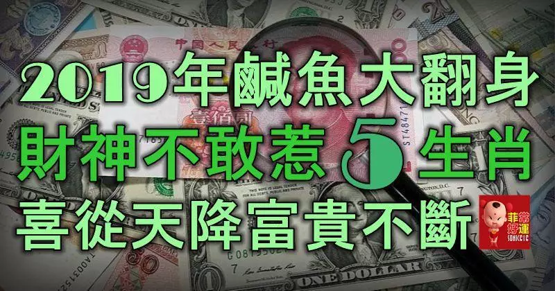 2019年鹹魚大翻身,財神不敢惹的5生肖,喜從天降,富貴不斷!