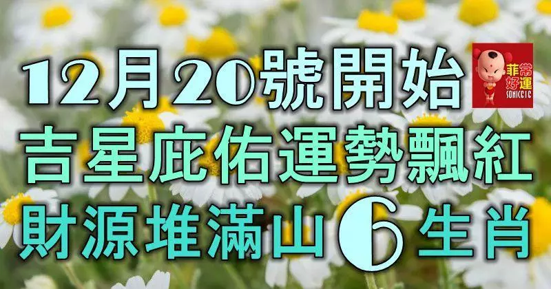 12月20號開始,吉星庇佑運勢飄紅,財源堆滿山的6大生肖!