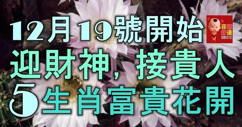 12月19號開始,迎財神,接貴人,苦難熬到頭,5大生肖富貴花開!