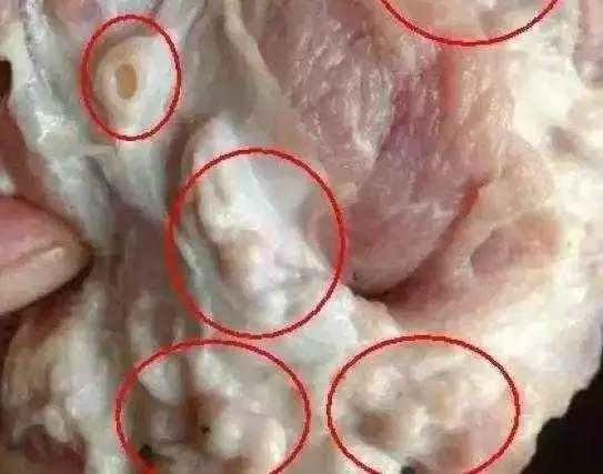 這九種肉再香也別吃,含有的病菌和毒素特別多,容易啟動癌細胞,記得告訴家裡做飯的人!
