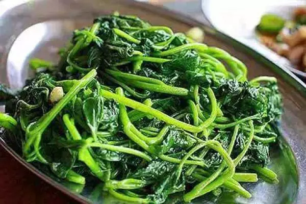 吃番薯葉的好處,番薯葉這樣炒才正確