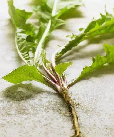 胃不好的人,遠離【3物】、多喝【3水】,修復胃粘膜,遠離幽桿菌,胃一點點變好!
